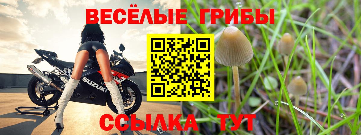 Псилоцибиновые грибы ЛСД  Вход с VPN  где можно купить   Губаха 