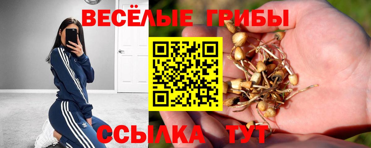 Галлюциногенные грибы Cubensis Губаха